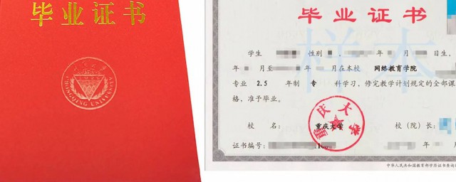 本科上完了学什么(读完本科是什么)