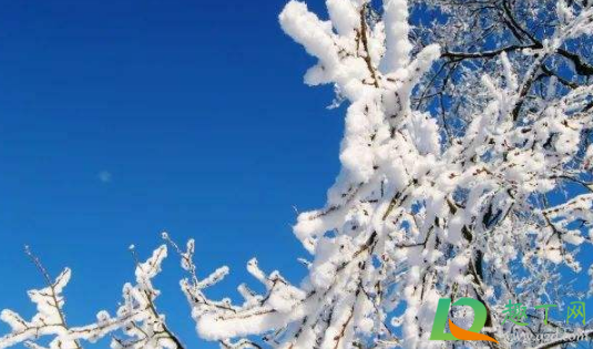 2020年立冬是几时几分几秒(2020年立冬几月几日几点几分) 2020年立冬是几时几分几秒(2020年立冬几月几日几点几分)