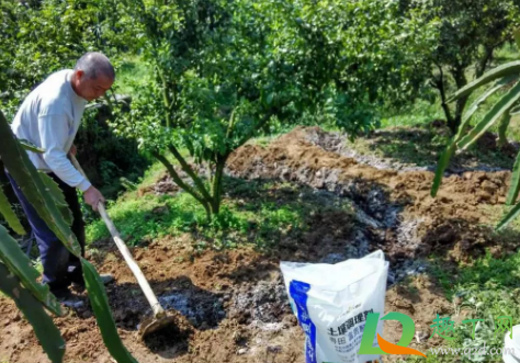 土壤调理剂有毒吗(最好的土壤调理剂)