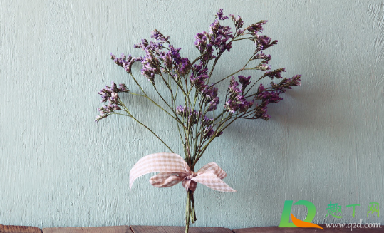 放干花的瓶子要加水不(干花瓶里要放水吗)