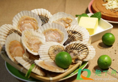 扇贝怎么清洗内脏(扇贝怎么清洗内脏图片)