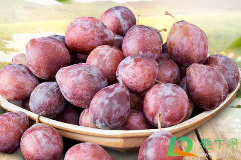 西梅为什么发黑(西梅里面有点黑是坏的吗) 西梅为什么发黑(西梅里面有点黑是坏的吗)