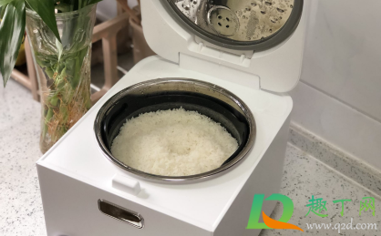 怎么做出松散的米饭(米饭怎么做比较散)