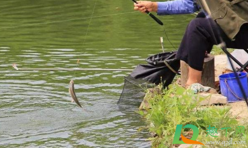 钓鱼为什么下午就没口(为什么傍晚钓鱼就没口了呢)