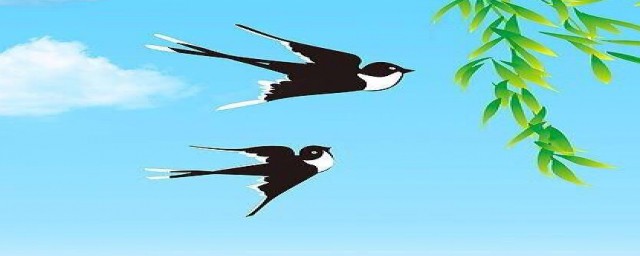 赶集的意思(赶集的本义是什么)