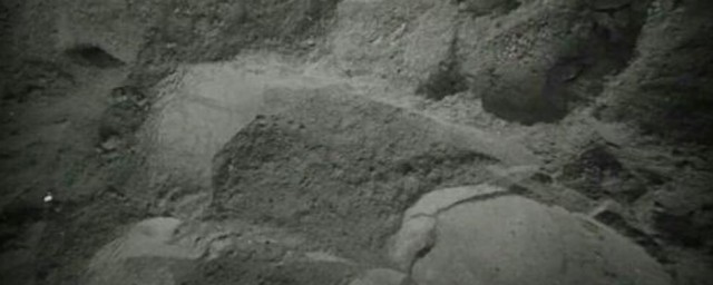 柴灰7大妙用你需要知道(柴灰的成份)