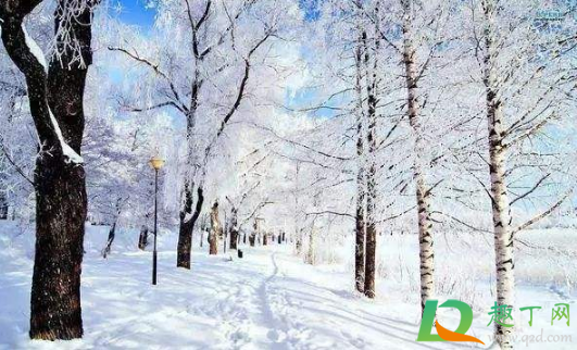 2020年冬天雪量大不大(2020年北方冬天雪量大不大) 2020年冬天雪量大不大(2020年北方冬天雪量大不大)