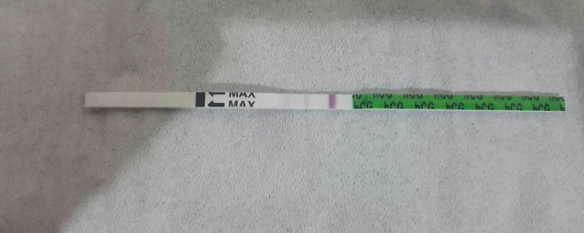 早孕测试纸是什么(测孕试纸测的是什么)