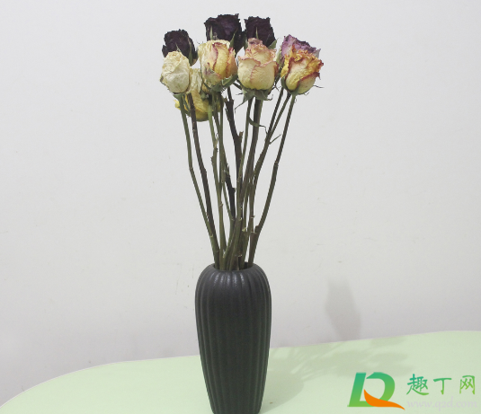 玫瑰花能直接倒挂风干吗(玫瑰花悬挂可以风干吗) 玫瑰花能直接倒挂风干吗(玫瑰花悬挂可以风干吗)