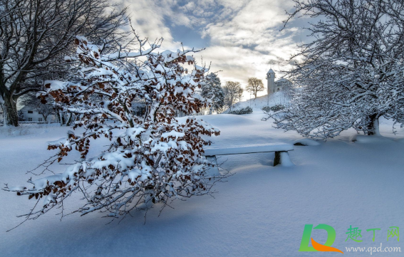 2020年冬季会有超级寒潮吗(2020年冬天的寒流)