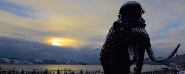 猛犸象的灭绝时间(猛犸象什么时期灭绝的)