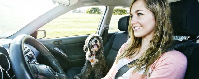 开车扣分的原因有哪些(开车扣分是怎么扣的)