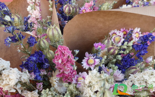 半干的干花可以插花瓶吗(插花可以用干花吗) 半干的干花可以插花瓶吗(插花可以用干花吗)