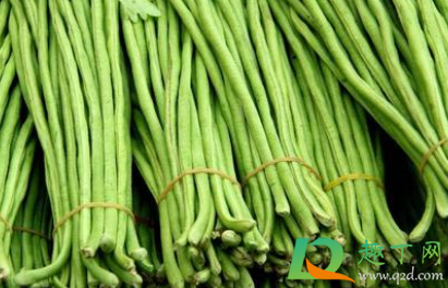 吃了豆角中毒会发烧吗(吃豆角为什么会发烧) 吃了豆角中毒会发烧吗(吃豆角为什么会发烧)