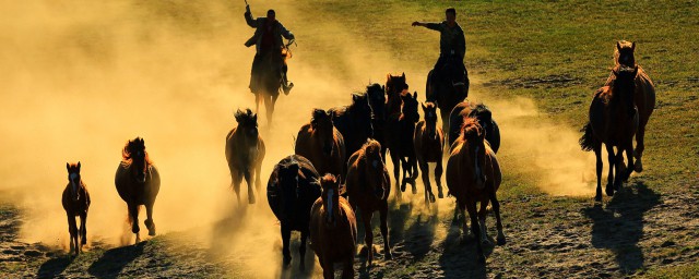 国家崛起秘籍用法(国家的崛起无敌秘籍)