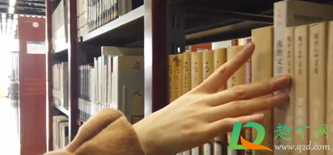 首都图书馆什么瓜(首都图书馆是北京图书馆吗)