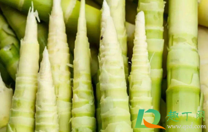 竹笋炒之前还要烫一下吗(竹笋炒之前需要焯水几分钟) 竹笋炒之前还要烫一下吗(竹笋炒之前需要焯水几分钟)