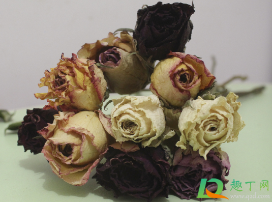 玫瑰花做成干花需要几天(玫瑰花制作干花需要多长时间) 玫瑰花做成干花需要几天(玫瑰花制作干花需要多长时间)