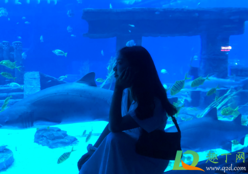 去海洋馆玩怎么拍告别游客照(海洋馆拍人像技巧)