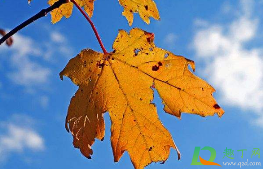 2020年秋季是不是雨季(2020年几月是冬季)