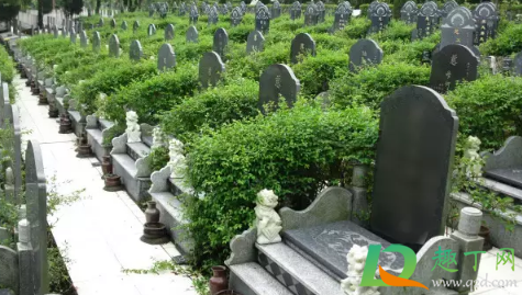 冬至为什么要祭祖(冬至为什么要祭天祭祖)