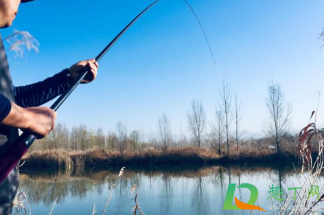 秋天钓鱼为什么难钓(深秋为什么这么难钓鱼)