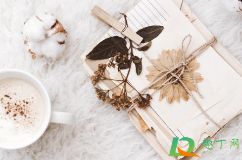 把花夹在书里可以做成干花吗(用书做干花)