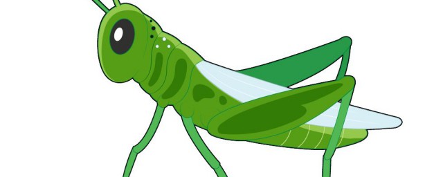 有蝗虫的简单介绍吗(关于蝗虫的知识介绍)