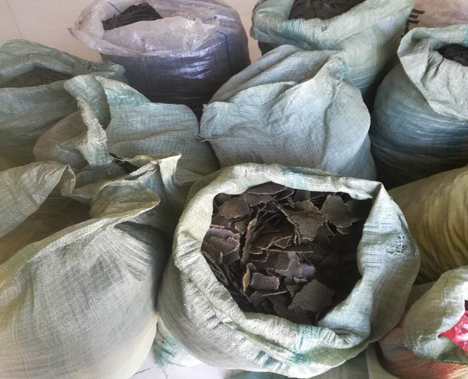 菜籽饼水能浇菜吗(发酵好的菜籽饼兑多少水浇菜) 菜籽饼水能浇菜吗(发酵好的菜籽饼兑多少水浇菜)