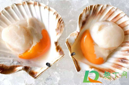 扇贝怎么清洗内脏(扇贝怎么清洗内脏图片)