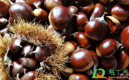 栗子皮做养花肥料可以不(栗子皮养花怎么用)