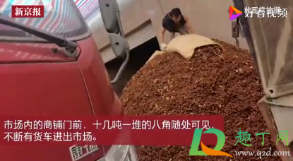 硫磺八角二氧化硫超标对人体有害吗(二氧化硫超标对人体的危害)