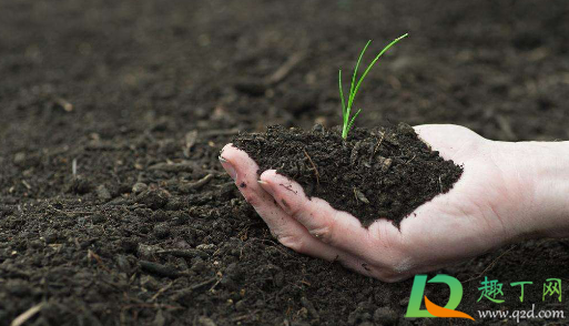 有机肥放盆底还是拌土好(有机肥直接垫盆底种花可以吗)