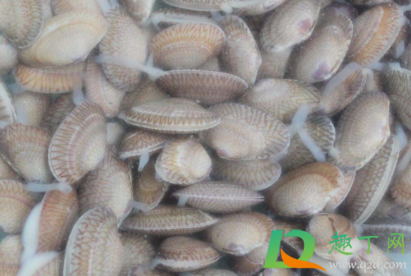 花甲怎么清洗内脏(花甲怎么清洗内脏甲怎么做) 花甲怎么清洗内脏(花甲怎么清洗内脏甲怎么做)