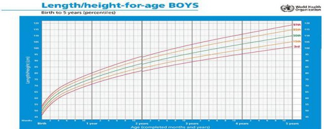 60个月的男孩发育标准是什么(75个月男孩发育标准)