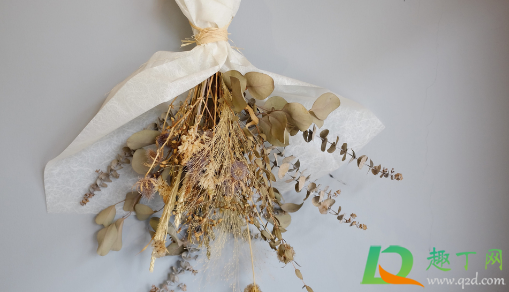 发霉的干花晒晒还能要吗(晾干花发霉)