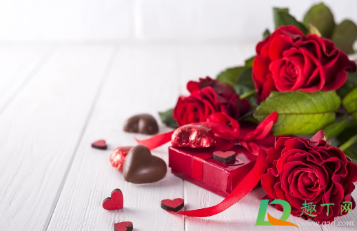 玫瑰花怎么养才不会枯萎(水养玫瑰花怎么养才不会枯萎)