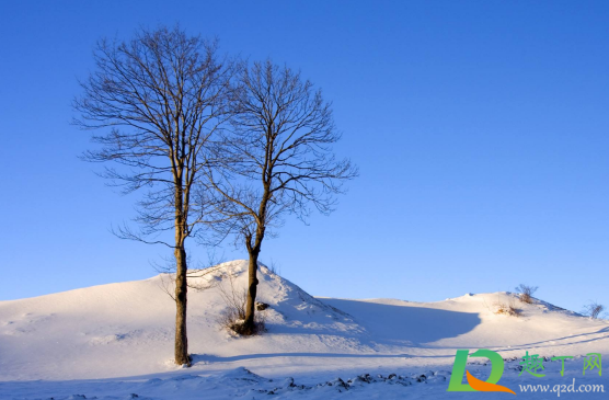 2020年冬季会有超级寒潮吗(2020年冬天的寒流)