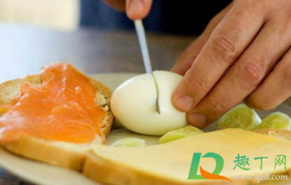 幼犬可以吃鸡蛋白吗(狗狗能不能吃蛋白)