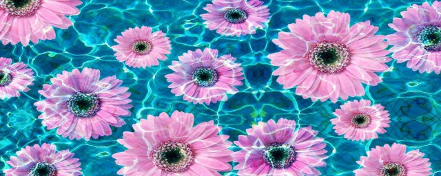 是不是很神奇(是不是很神奇呀)