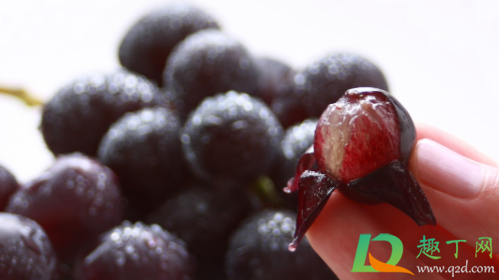 发酵过的葡萄皮可以做肥料吗(葡萄皮发酵后是什么肥料) 发酵过的葡萄皮可以做肥料吗(葡萄皮发酵后是什么肥料)