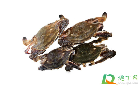 螃蟹夹到手需要打破伤风吗(手被螃蟹夹出血了用不用打破伤风) 螃蟹夹到手需要打破伤风吗(手被螃蟹夹出血了用不用打破伤风)