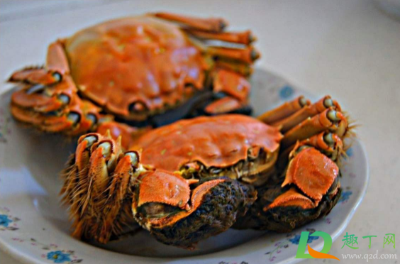 蒸螃蟹一次没吃完怎么存放(蒸螃蟹吃不完怎么存放)