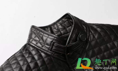 皮衣大面积发霉怎么洗(皮衣发霉的处理方法)