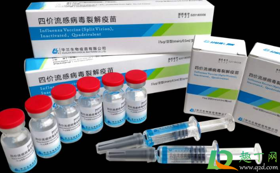 年轻人要打流感疫苗吗(青年可以打流感疫苗吗)