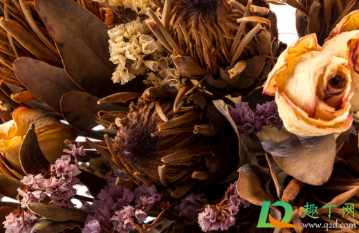 水粉颜料可以染干花吗(水粉颜料能染衣服吗)