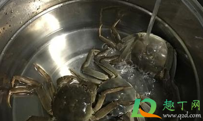 螃蟹怎么清洗不被夹手(活螃蟹夹手怎么处理)