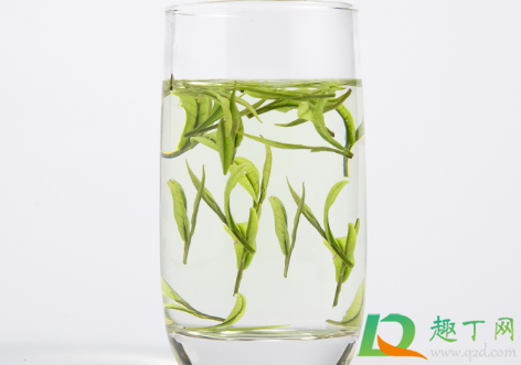 安吉白茶属于凉茶还是热茶(安吉白茶是凉性还是温性)