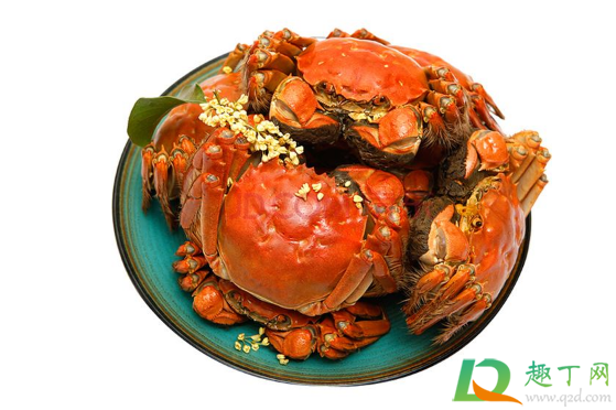 螃蟹夹到手需要打破伤风吗(手被螃蟹夹出血了用不用打破伤风) 螃蟹夹到手需要打破伤风吗(手被螃蟹夹出血了用不用打破伤风)