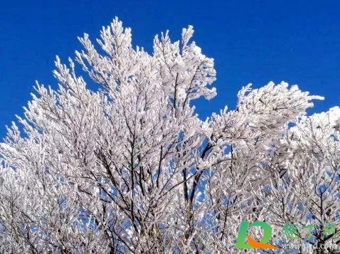 2020年冬天是几月到几月(2020年冬天几月开始几月结束) 2020年冬天是几月到几月(2020年冬天几月开始几月结束)